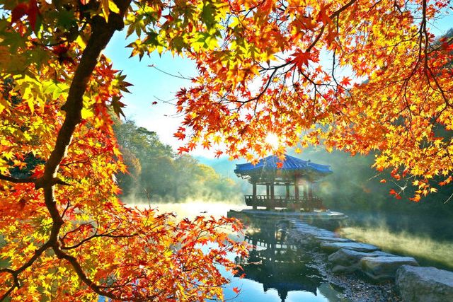 0829 정읍시, 내장산 한국관광공사 실증사업 선정(우화정)