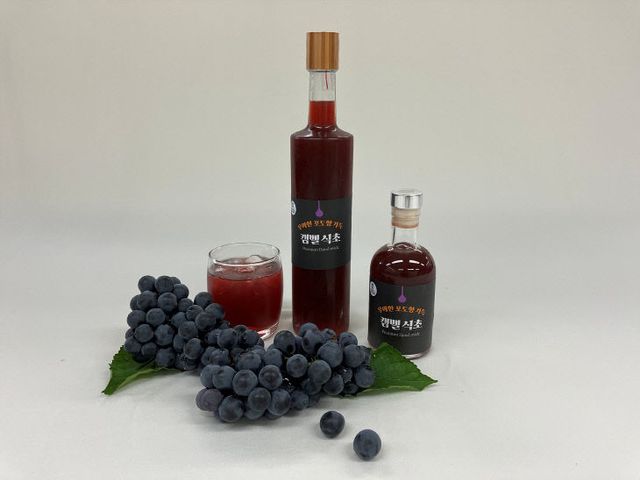 충북농기원, 특허균주로 발효한 캠벨 식초