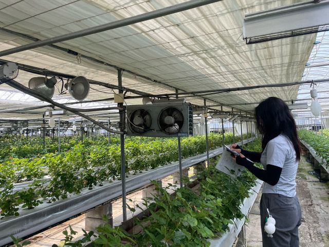 비닐하우스 축사 전기 안전 점검 모습.김해시 제공