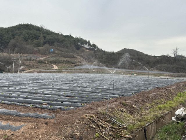 1-4 사진(영양군, 급변하는 기후와 농업환경에 적극 대응)