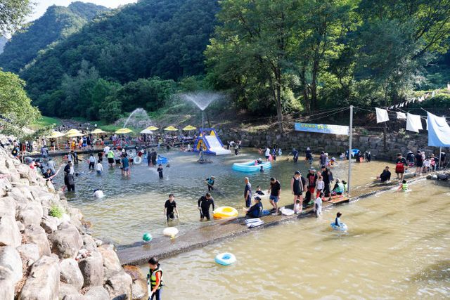 보도 2) 남천계곡 물놀이축제(1)