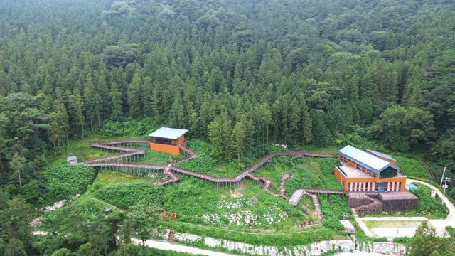 Resized_1000029701_1754461756126