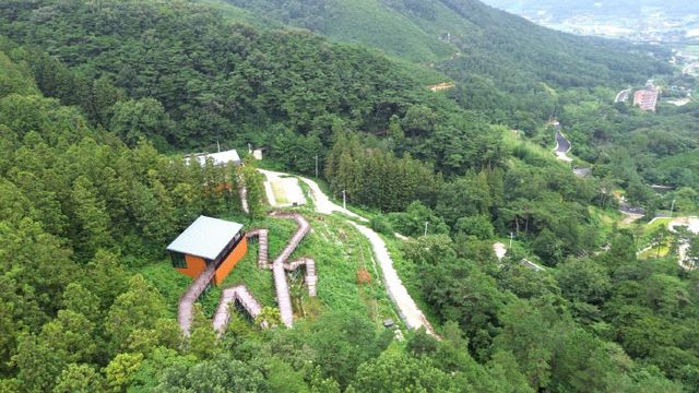 1000029703_1754461741753