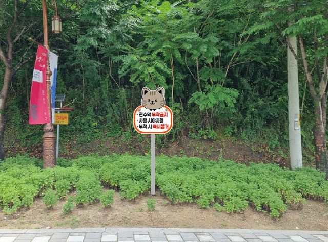 1-1 불법현수막 표지판