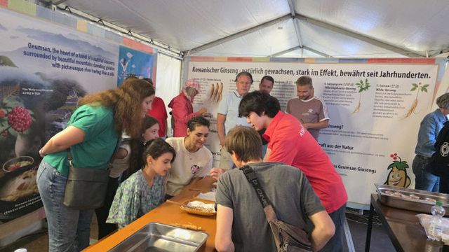 프랑크푸르트 박물관 강변축제 금산인삼 홍보 부스