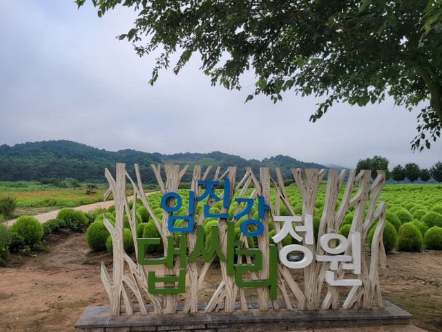 연천군, 중면 임진강 댑싸리 정원 개장