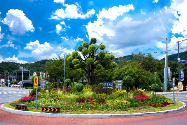 -도심이 꽃피다, 제천 국제행사 환영 도심경관 조성1