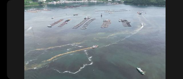 통영시, 6년 만에 발생한 적조에 총력 대응