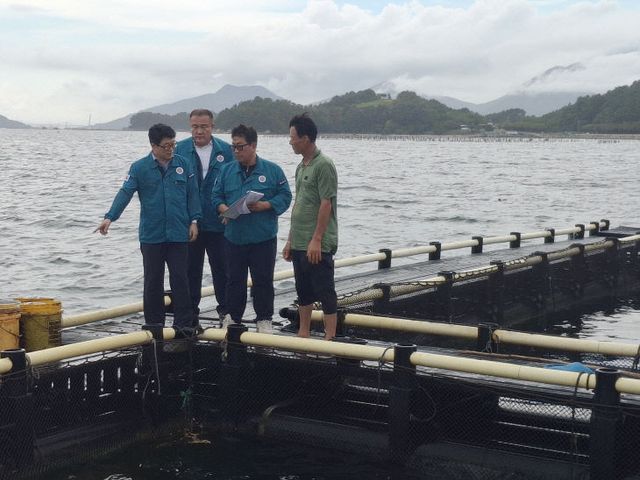 적조 피해 최소화 방제작업 총력 대응