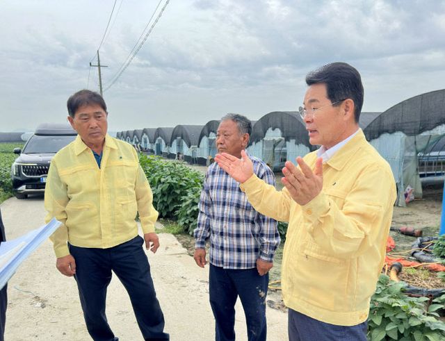 호우 피해 비닐하우스 현장 방문 (1)