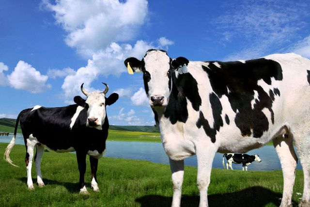 GettyImages-vs12491542