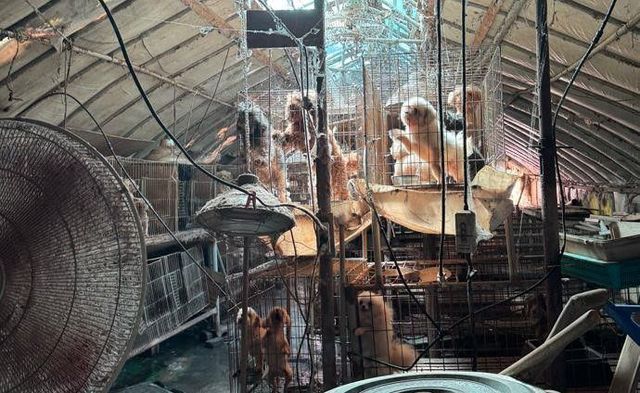 현장점검(동물정책과)