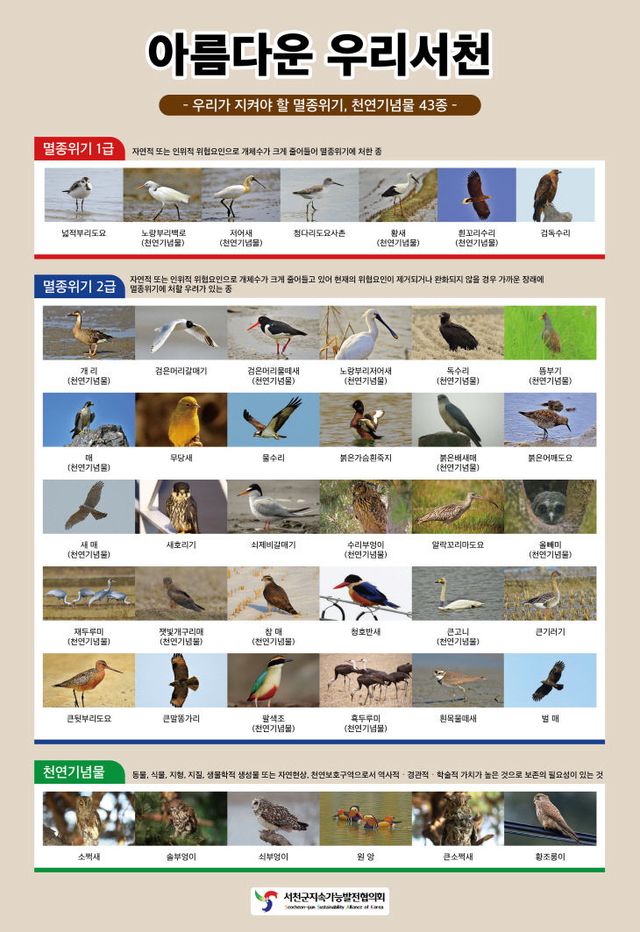 서천지속협이 제작한 멸종위기종 및 천연기념물 조류 포스터