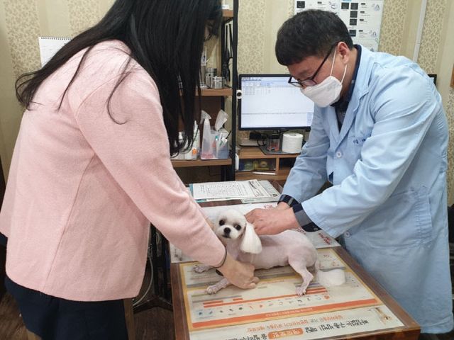 의정부시, 2025년 하반기 광견병 예방접종 지원사업 실시