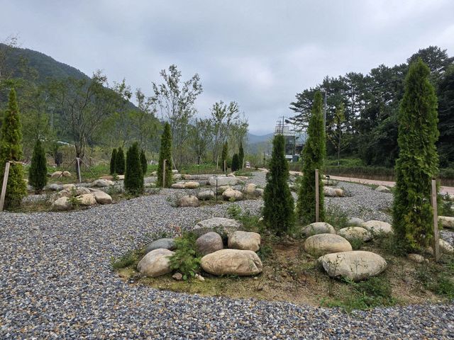 1-6 청령포원 전경