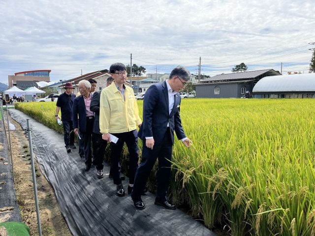 고창군 벼농사 종합평가회(2)