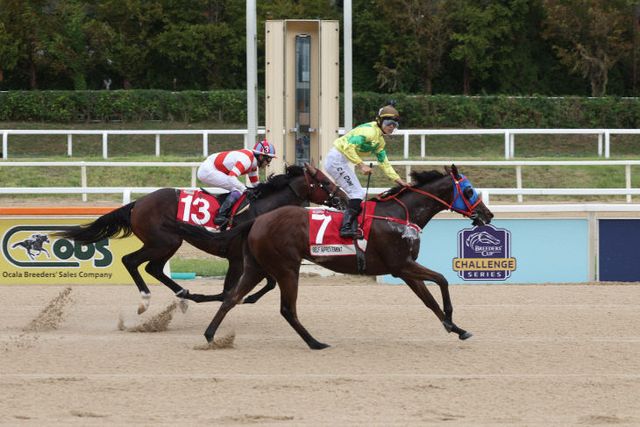 한국마사회, 제8회 코리아스프린트 결승선 통과장면