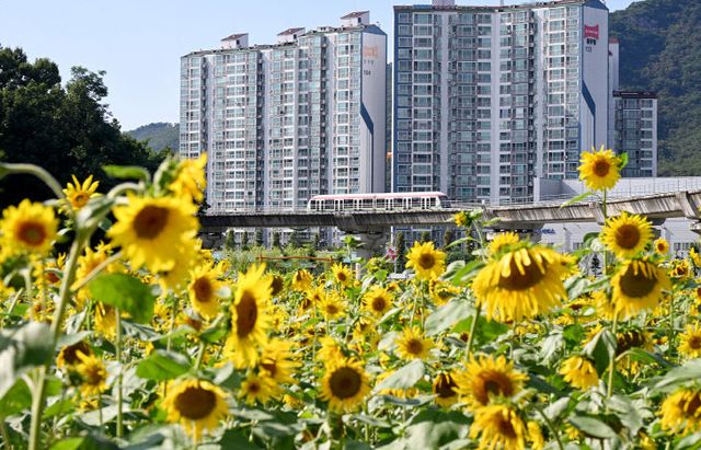 1.시민소통과(꽃과 쉼이 있는 도심 속 정원…‘신곡새빛정원’