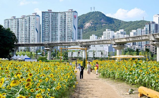 1.시민소통과(꽃과 쉼이 있는 도심 속 정원…‘신곡새빛정원’