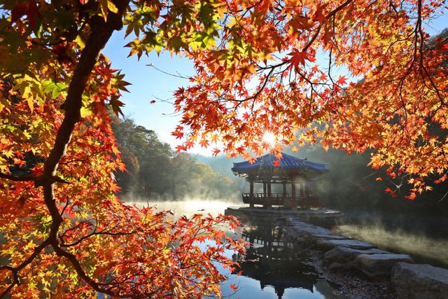 정읍의 가을(우화정) (1)