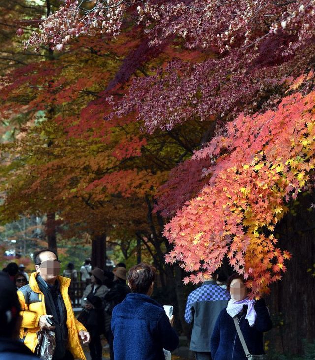 2022110601000480500016723