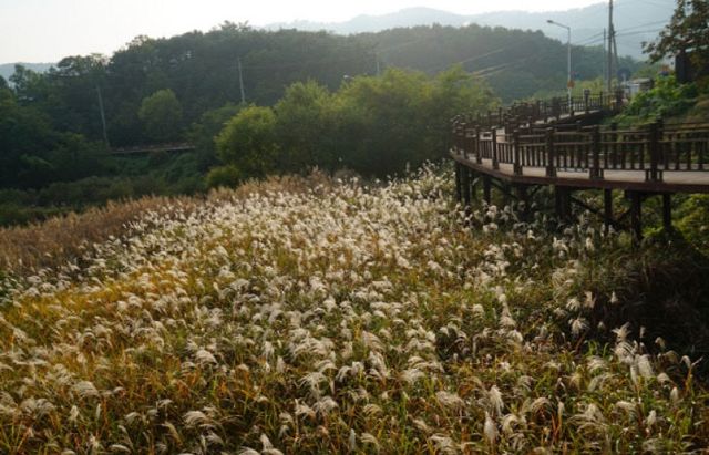 1754283166_7872463add30bdd3_photo-4 (2)