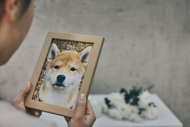 GettyImages-jv12258519