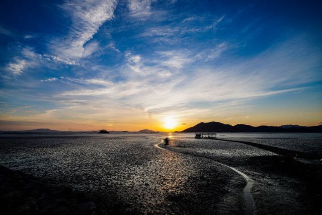 사본 -2 순천만습지