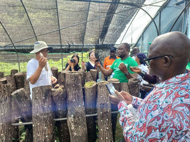 승지골표고농장 표고버섯 종균 설명 (1)