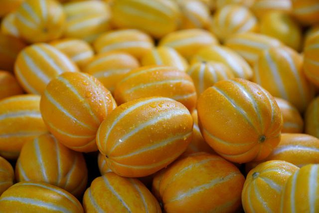 참외 조수입 6천억원 달성