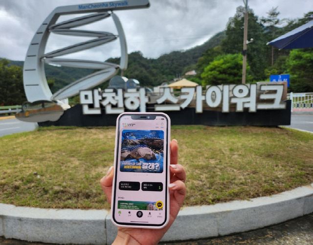 보도 1) 단양갈래 사진