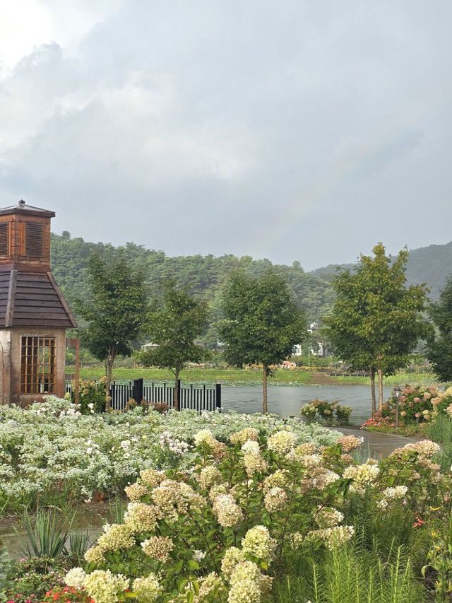 1 동서강정원 연당원 수국 사진