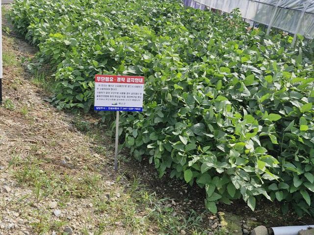 5.무단점유·경작 금지 안내 표지판