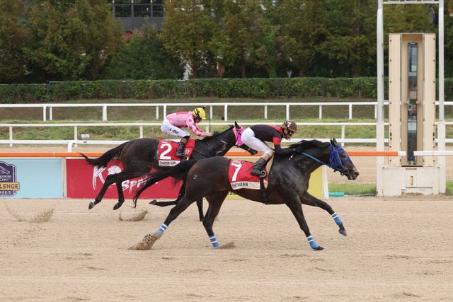 (부정기)(사진3)_1