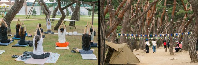 photo_07_캠핑&뮤직페스티벌