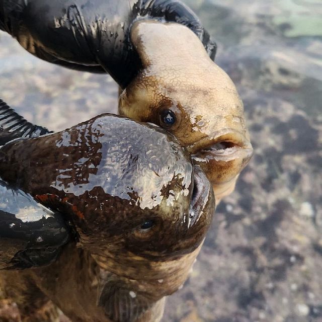 KakaoTalk_20260112_085719642