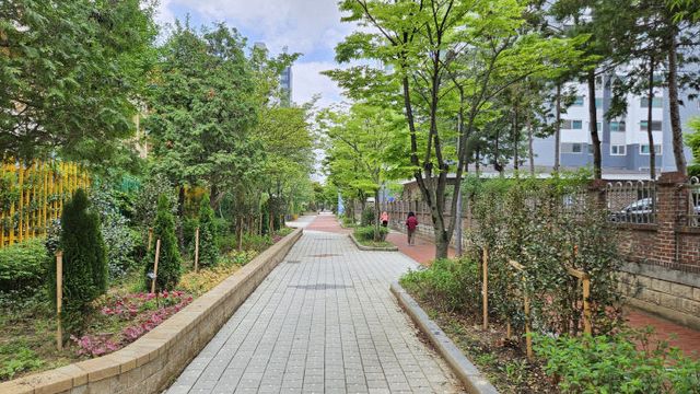 사진_자녀안심그린숲(계수초)