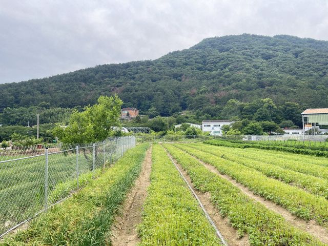 야생동물 피해예방시설 설치 사진