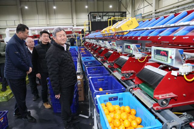 1768889768610_1b5a8f5cd0f0400e8688ea4679fd3fe5