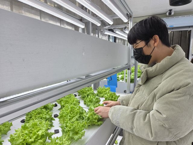 장애학생 직업교육 보조)