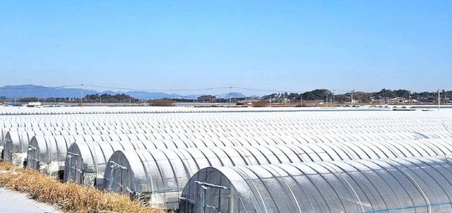 769377957303_7421309043828919017_3276939158