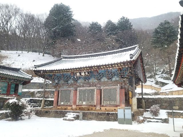 1769196499906_740581365256707 (1)