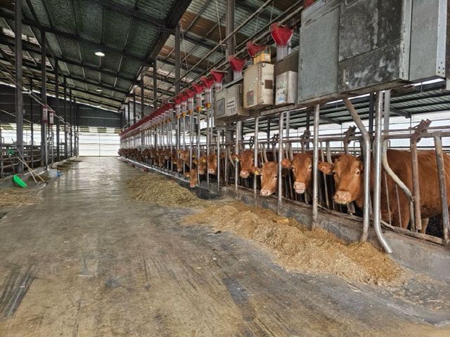 1.27(김해시전경