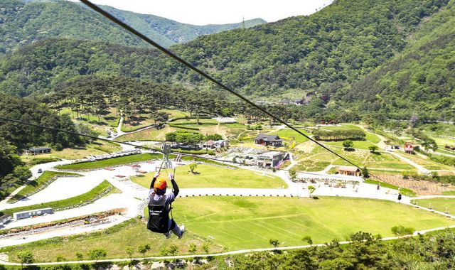 전년 대비 32만 명 ‘껑충’(구절초지방정원) (2)