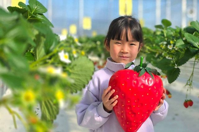 414425657389283150_7004647736