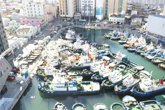 [250107 보도사진] 대교동 호안 예부선 계류지 전경