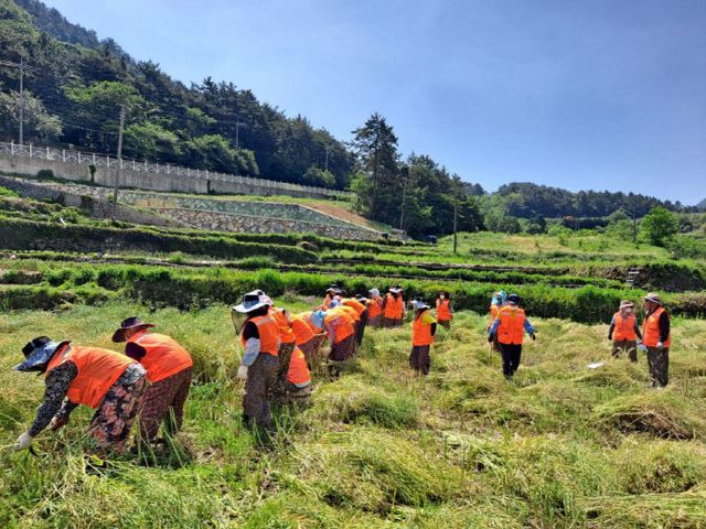 노인일자리 및 사회활동 지원사업 추진
