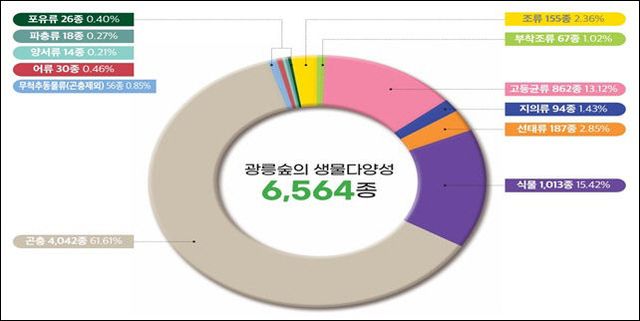 1_광릉숲 생물상 목록 집계