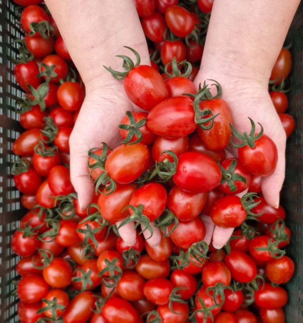 1770882461342_114683163105051