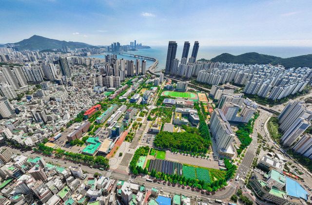 수영골프요가. 대연캠퍼스 전경